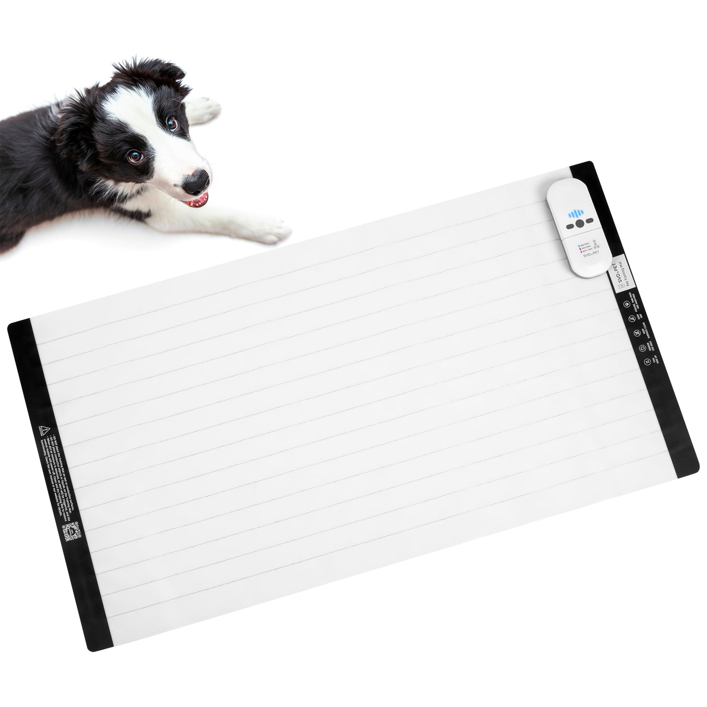 Electronic Training Mat