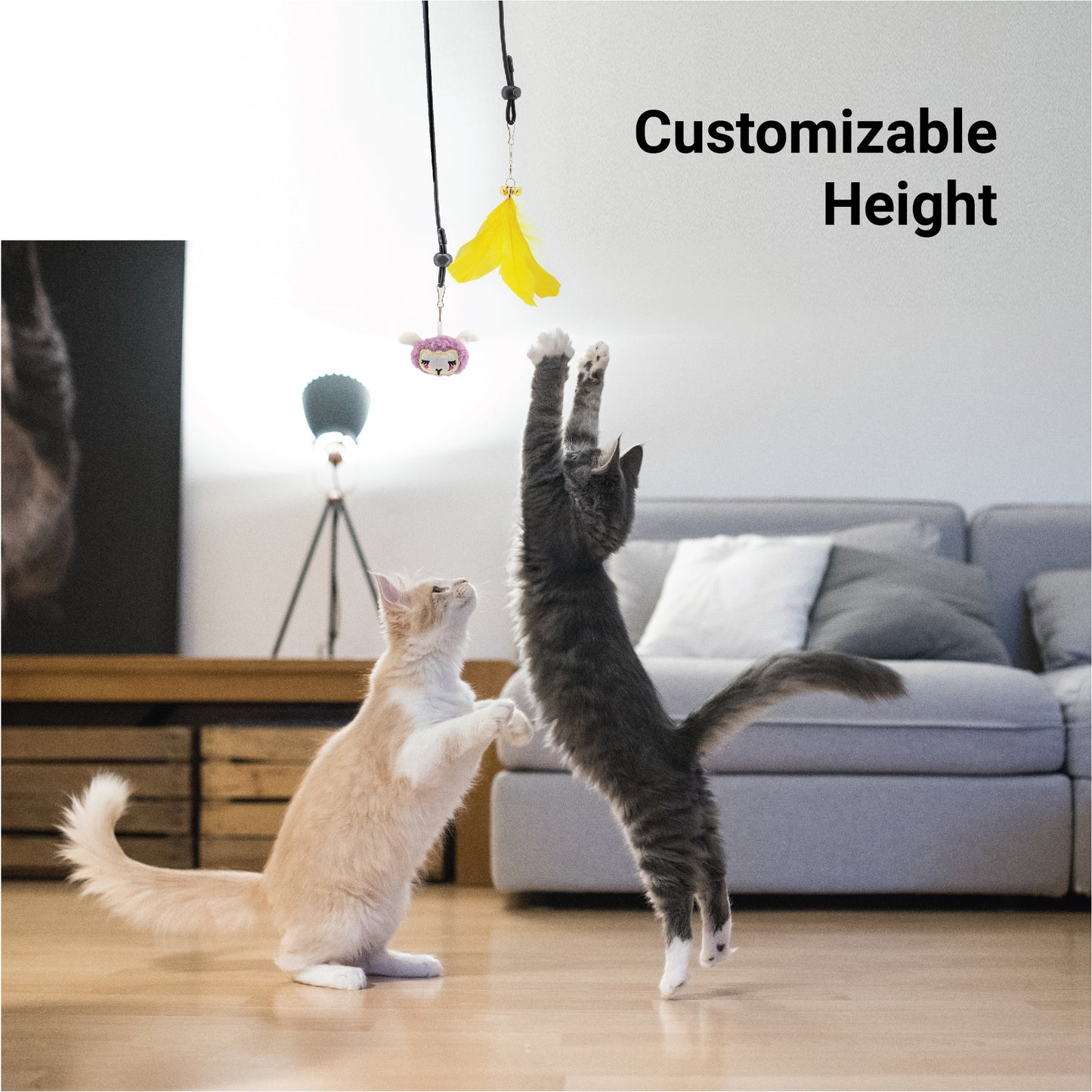 Cat Toy Rope
