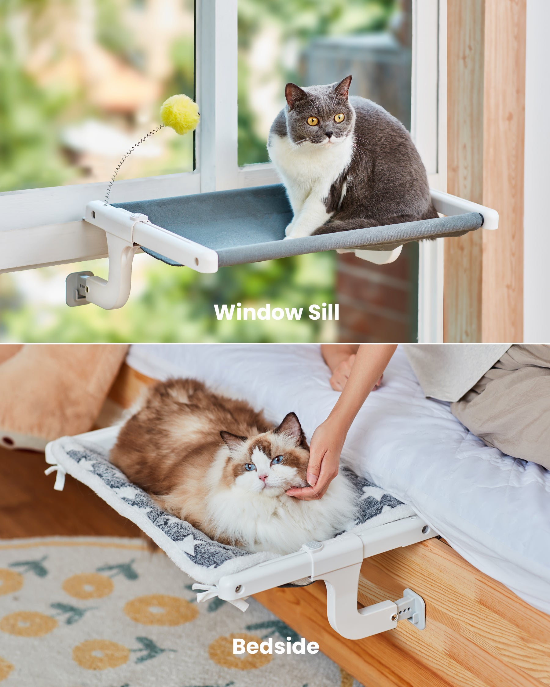 Cat Window Perch