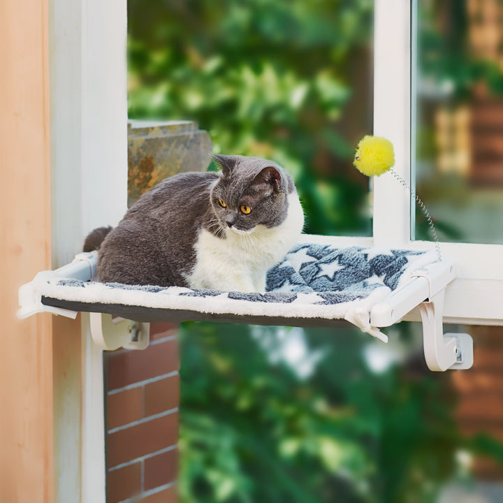 Cat Window Perch
