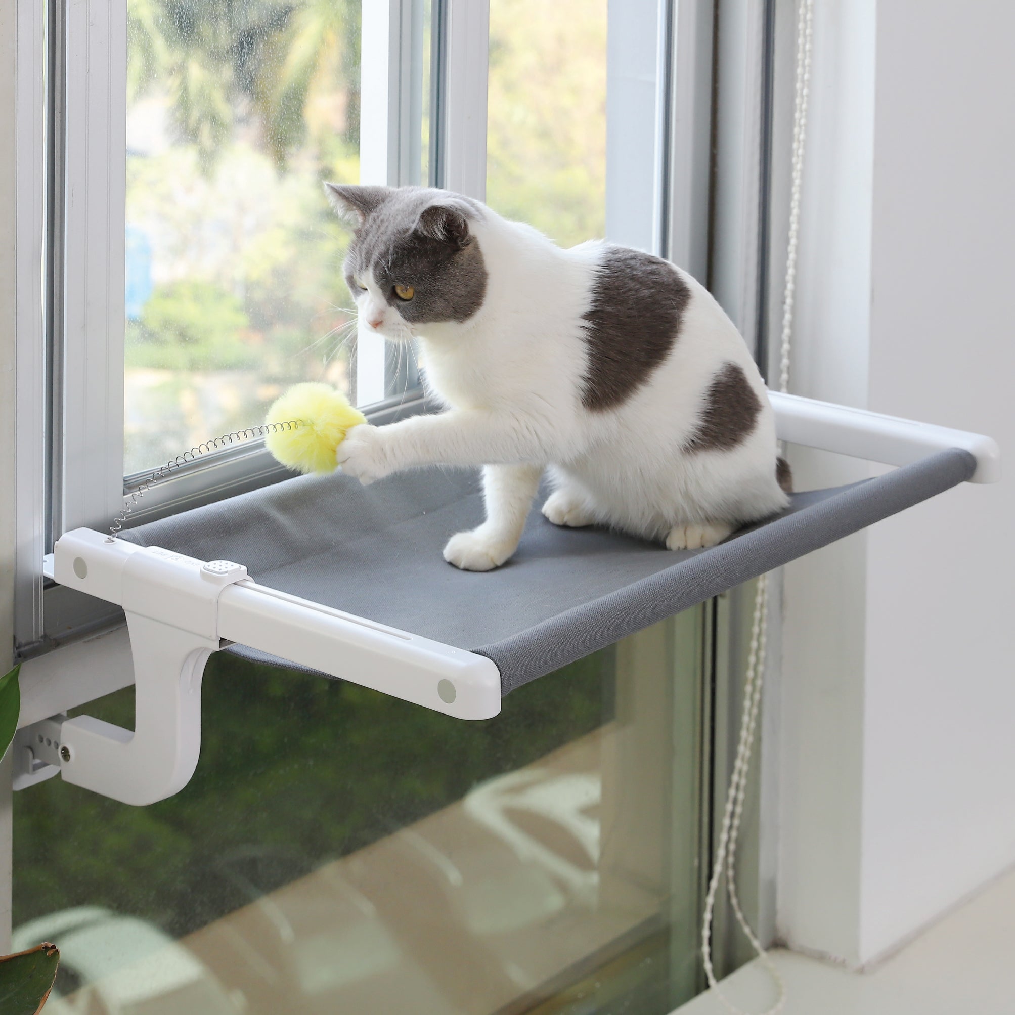 Cat Window Perch