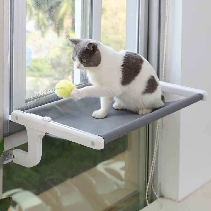 Cat Window Perch