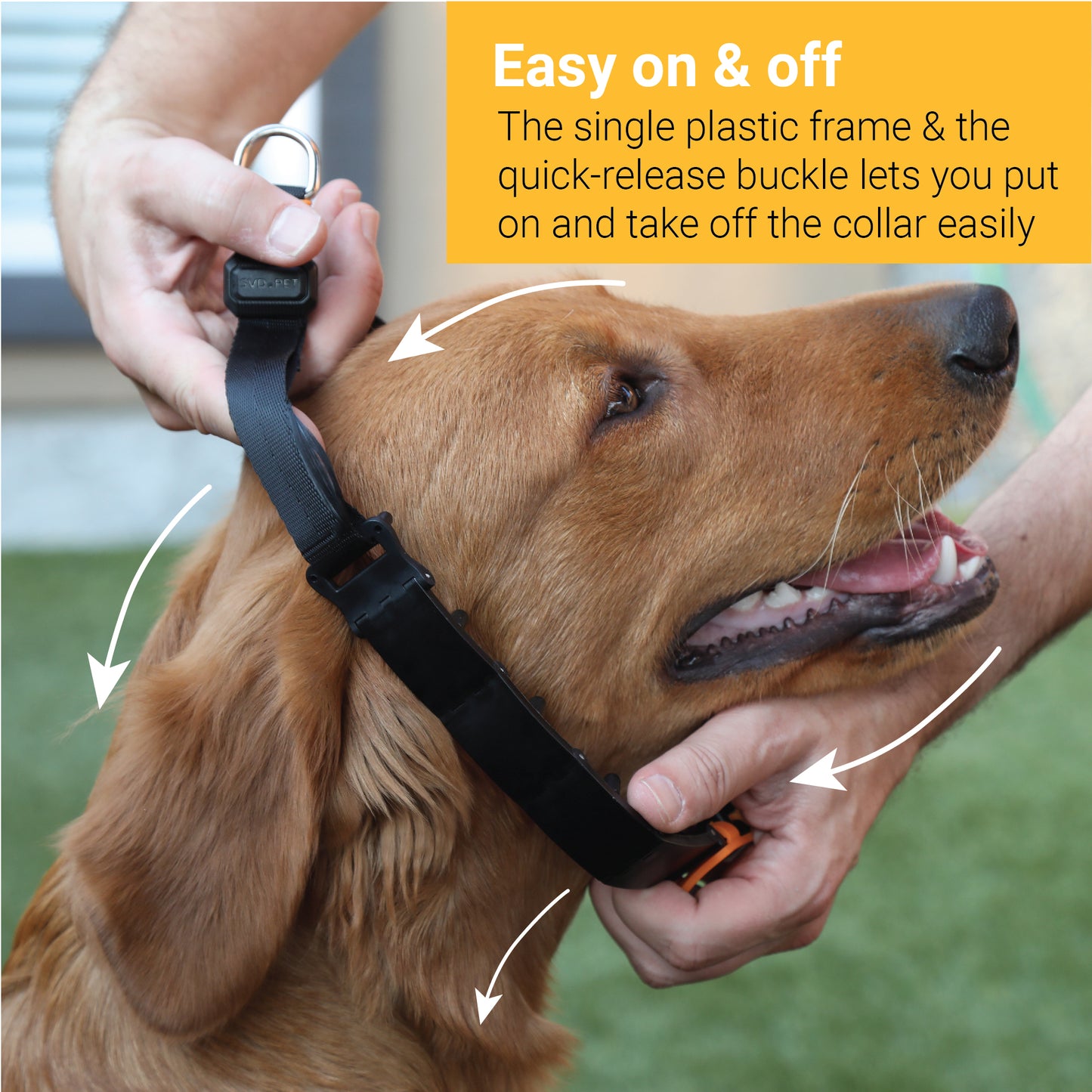 Dog Training Prong Collar