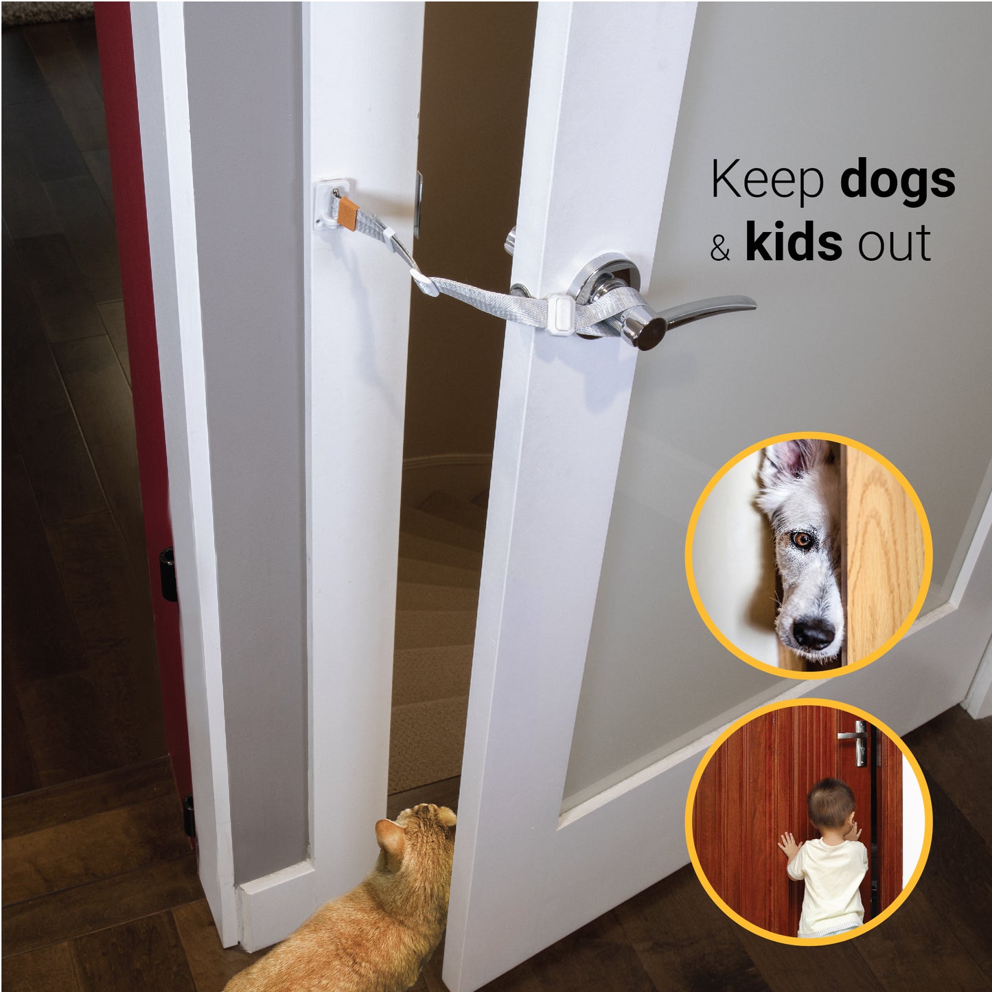 Cat Door Latch