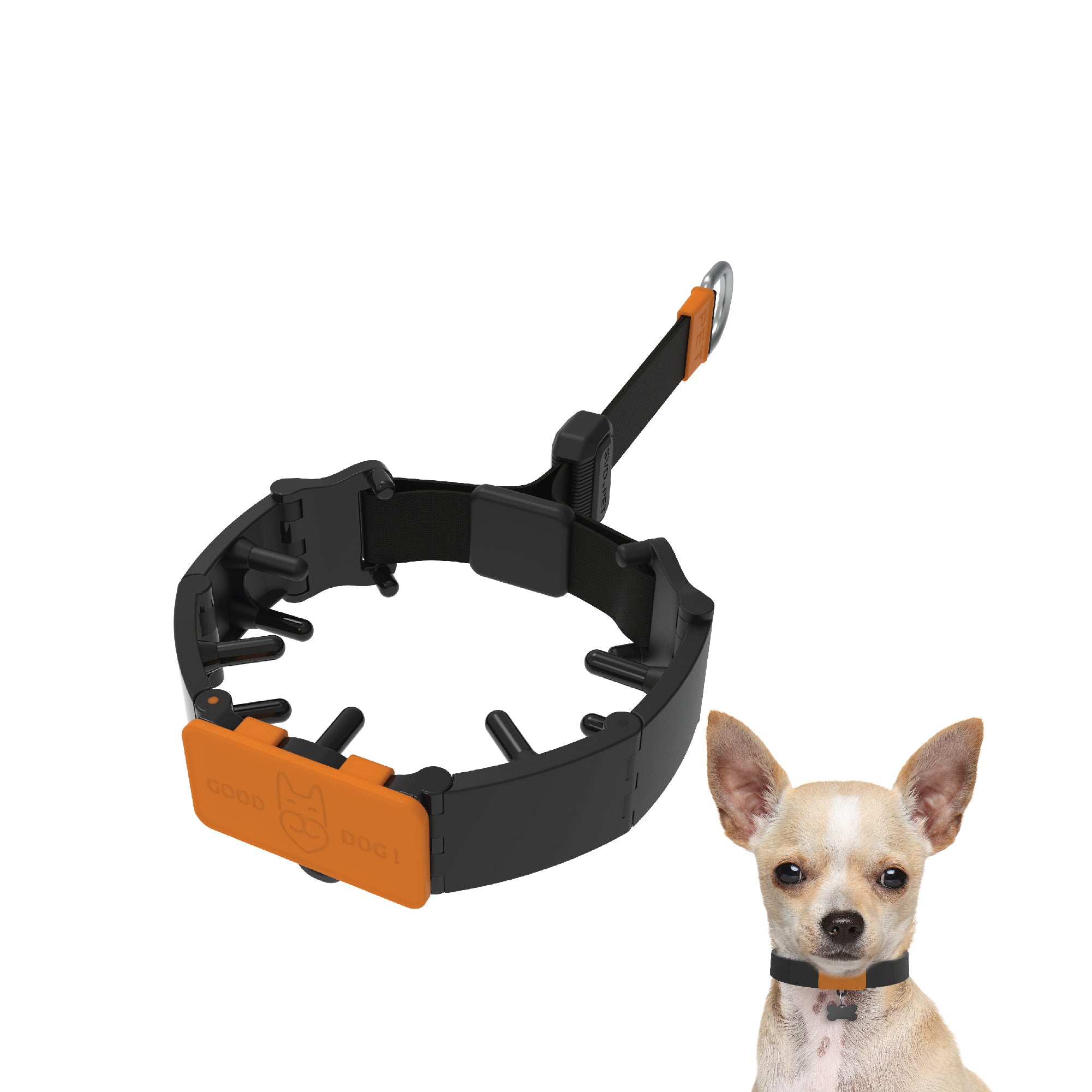 Dog Training Prong Collar